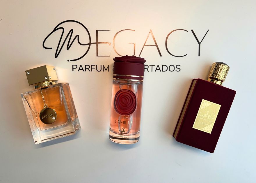 PROMOÇÃO COMPRE 1 LEVE 3 - Princess of Arabia, Camille For Women e Club de nuit - Edição Limitada ❤️ - 50ml Cada